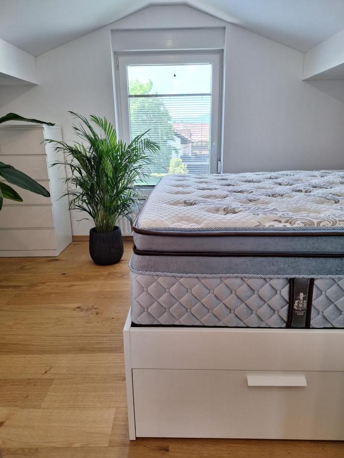 Guesthouse Flower Ljubljana Eksteriør bilde